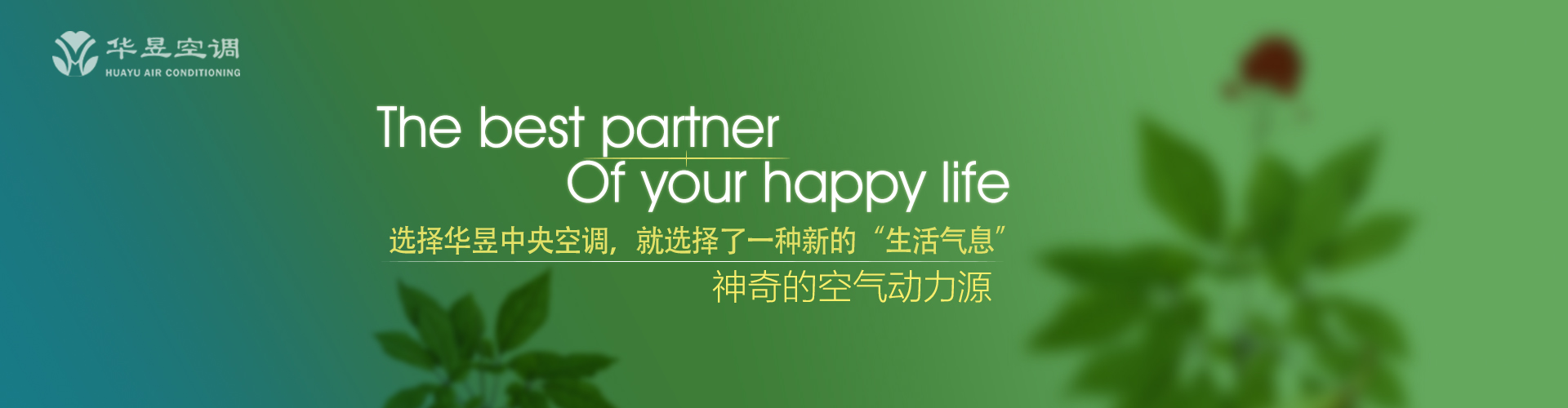 旗帜鲜明网